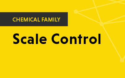 FQE Scale Control